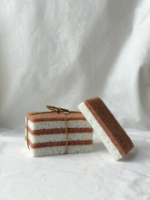 biodegradeable kitchen sponge