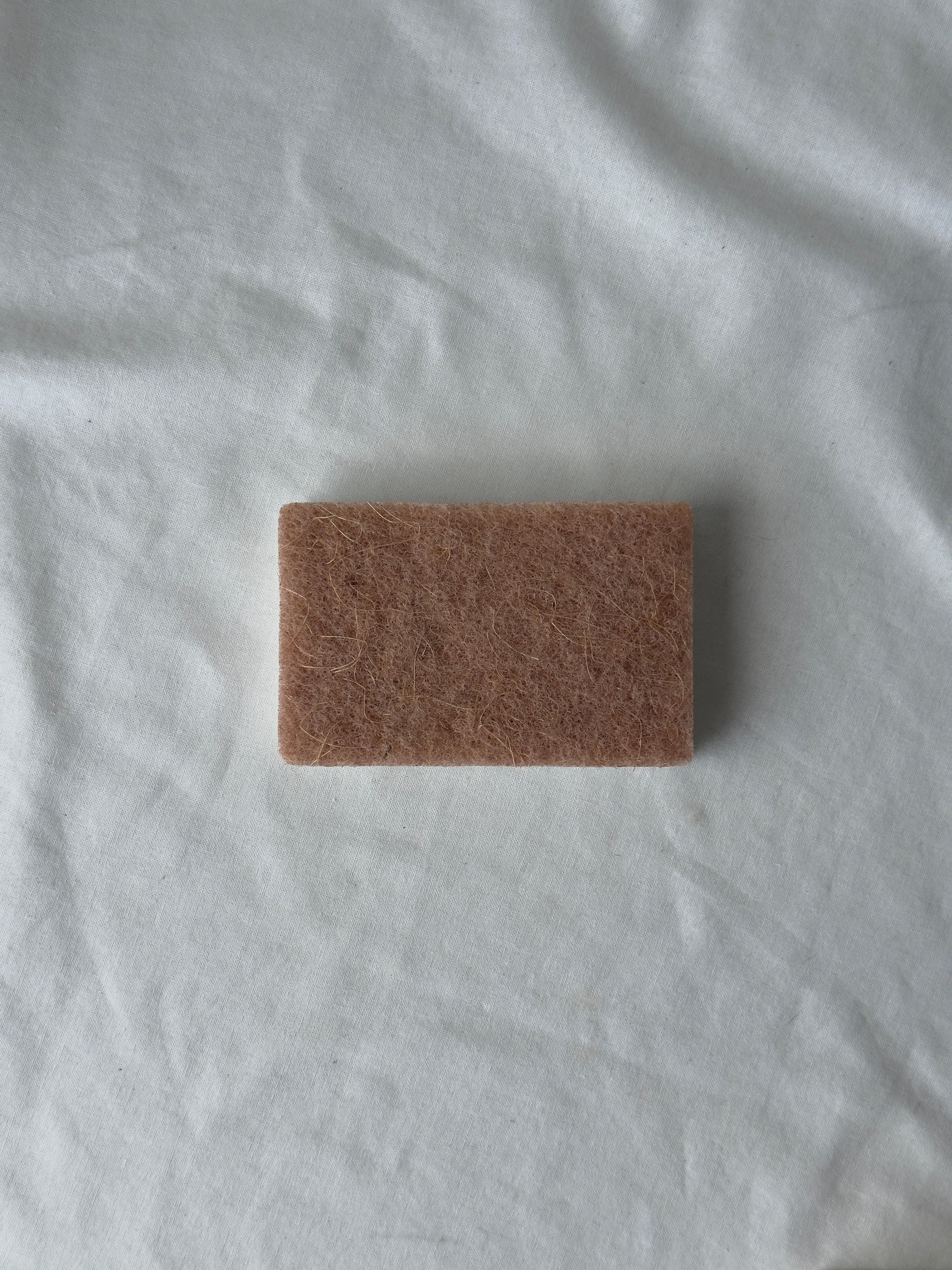 biodegradeable kitchen sponge