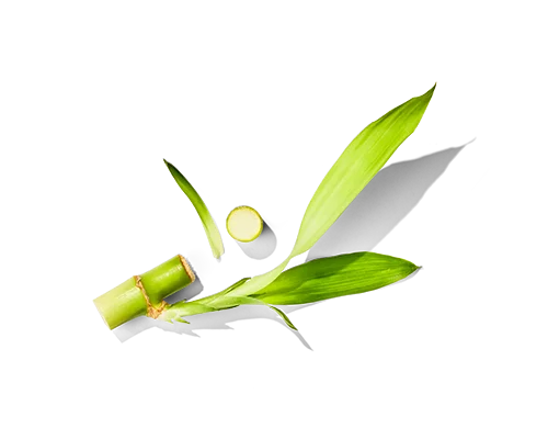 Green Tea Powder
